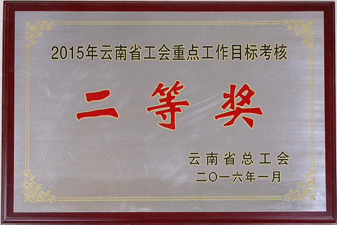 2015云南省总工会授予HB火博体育二等奖